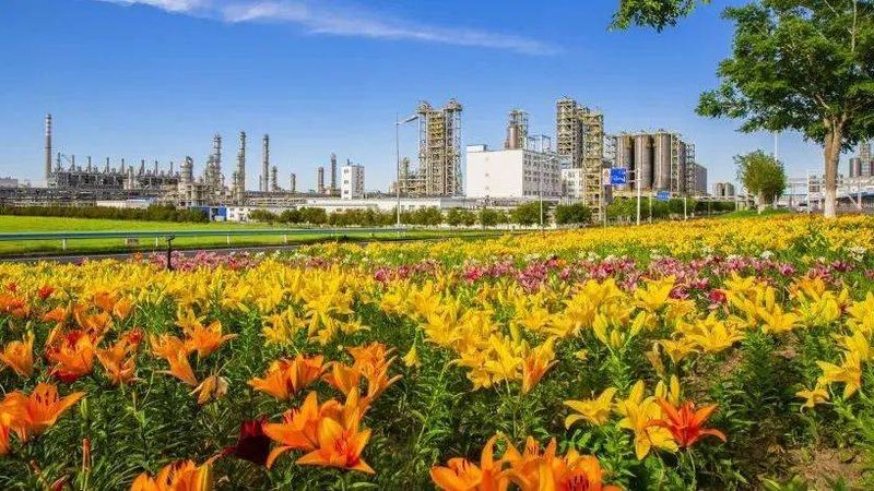 高分子材料区域代理加盟，政策解读与加盟指南**